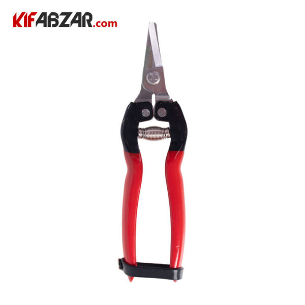 قیچی میوه چین سرکج واستر