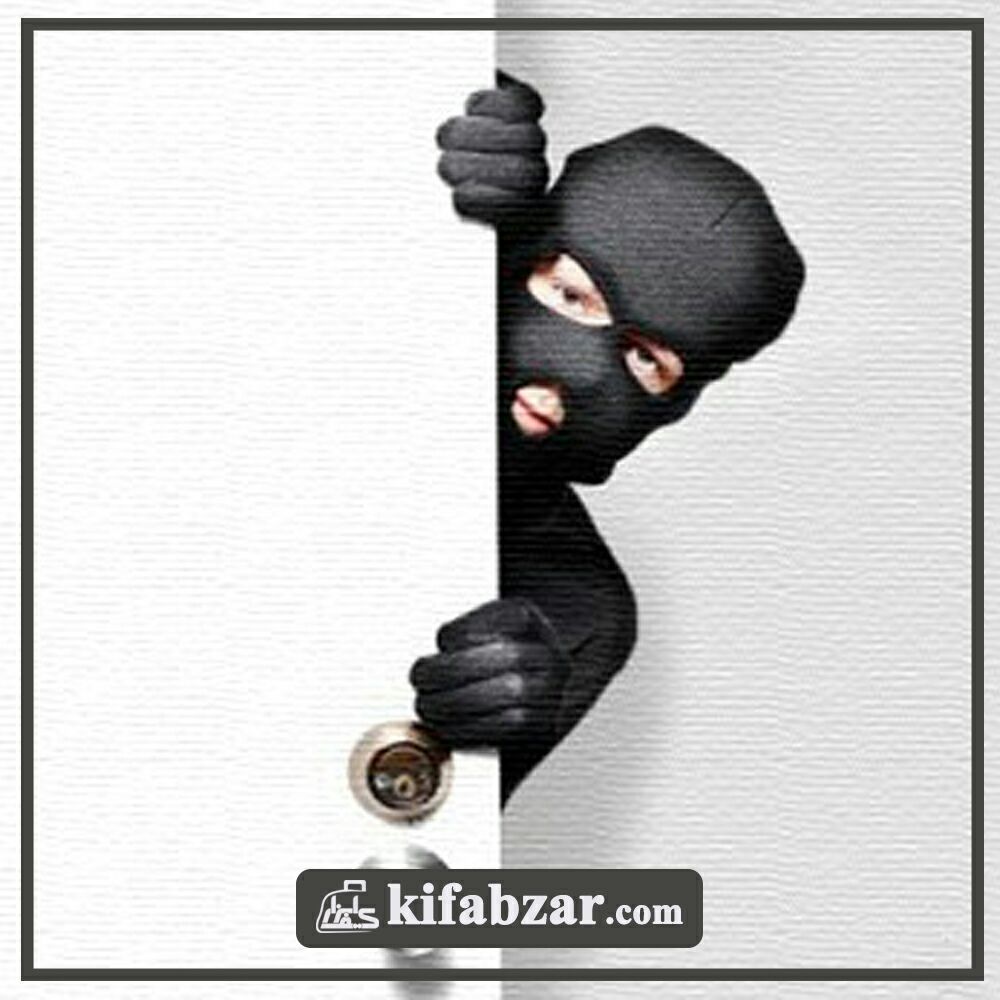 سارقان را سرکار بذاریم !؟ 1