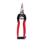 قیچی میوه چین سرکج واستر - تصویر 2