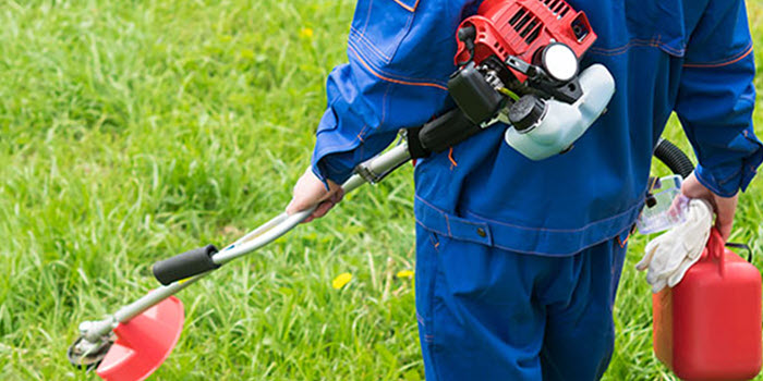 آیا باید یک علف زن بنزینی خریداری کنم؟ 4 آیا باید یک علف زن بنزینی خریداری کنم؟ 3